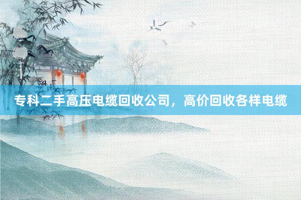 专科二手高压电缆回收公司，高价回收各样电缆