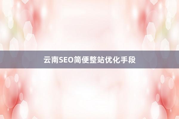 云南SEO简便整站优化手段