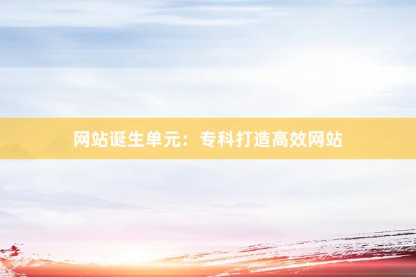 网站诞生单元：专科打造高效网站