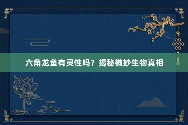 六角龙鱼有灵性吗？揭秘微妙生物真相