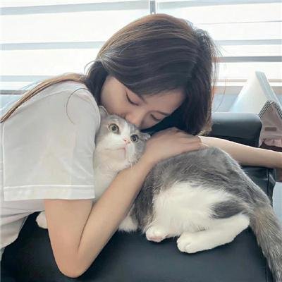 黑帮终结令